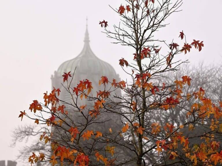 Autumn