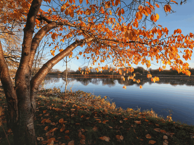 Save 10% Autumn Break